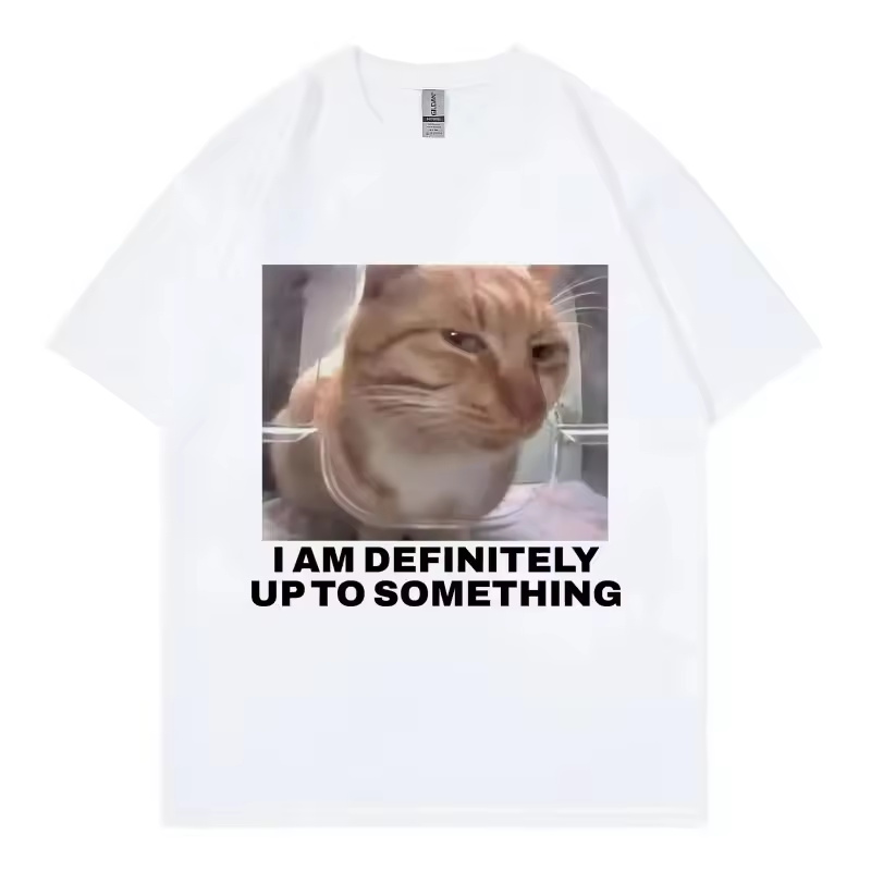 T-shirt con meme gatto diverte - Street Fashion Definition recensione e prezzo