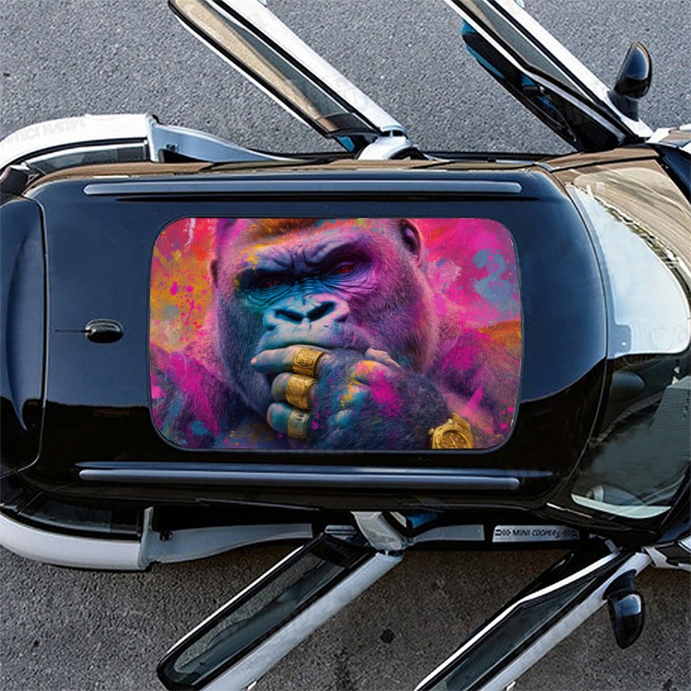 Moda Street Art Chimp Misterio - Street Fashion Pose recensione e prezzo